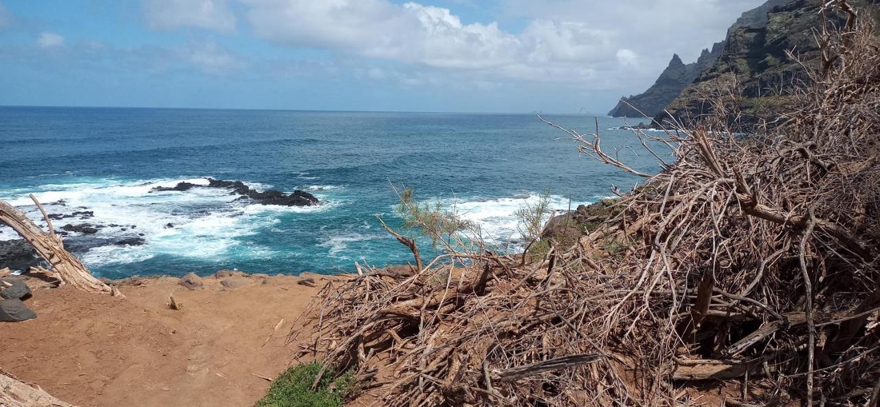 Playa Y Montaña: Naturaleza Y Armonía San Cristóbal de La Laguna Exterior foto